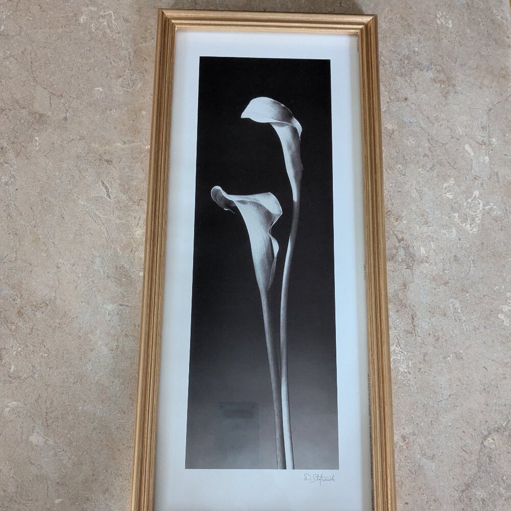 Dick & Diane Stefanich framed print "Calla Lilies" - Picture 2 of 6